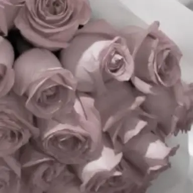 Profile image of のあ