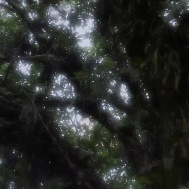 Profile image of じゃぱぱ