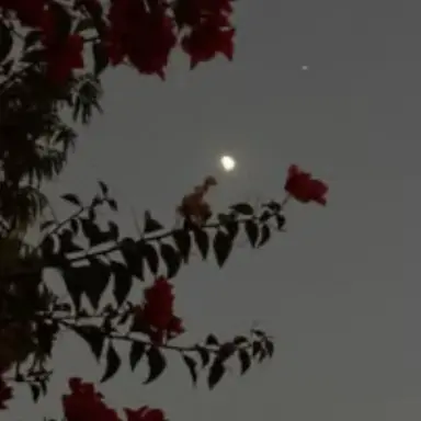 Profile image of ゆあん