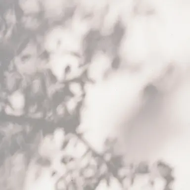 Profile image of どぬく