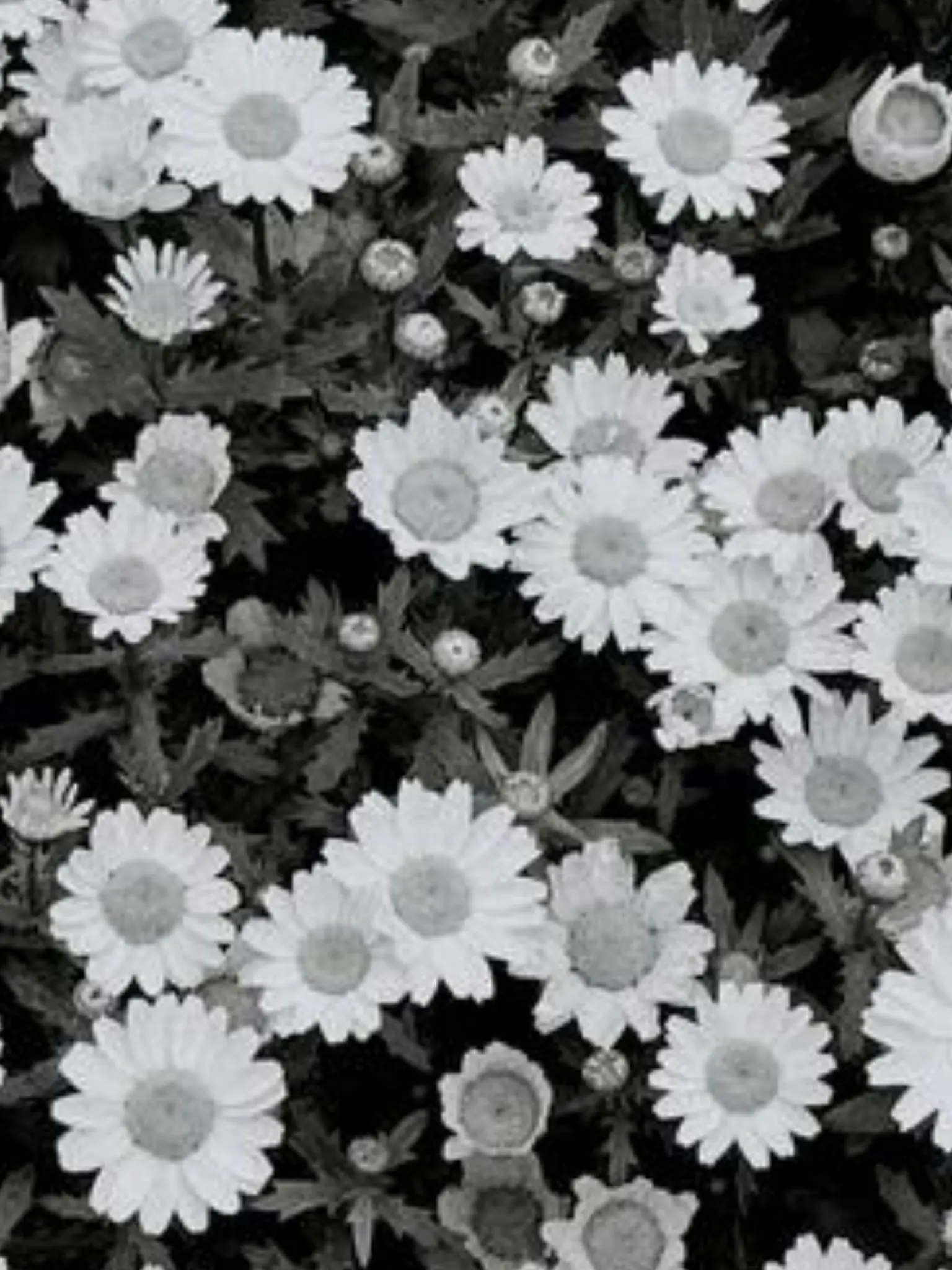 rin_1020.의 11人のマフィアさん ー 、 "