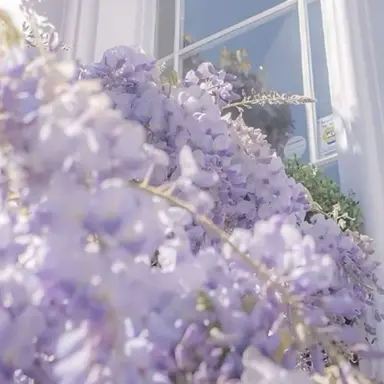 Profile image of 유성