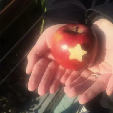 Profile image of 마플