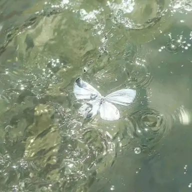 Profile image of 꾸몽