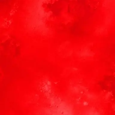 Profile image of 劉 銘軒