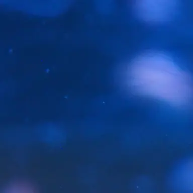 Profile image of 記憶