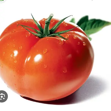 Profile image of 제1호토마토