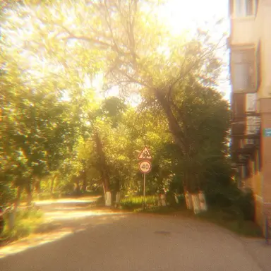 Profile image of 쪼만