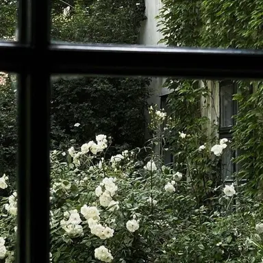 Profile image of 우융