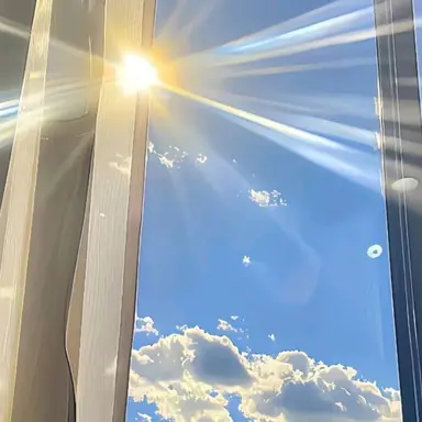 Profile image of 티푸