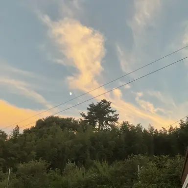 Profile image of 모리 란