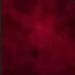 Profile image of ローレン