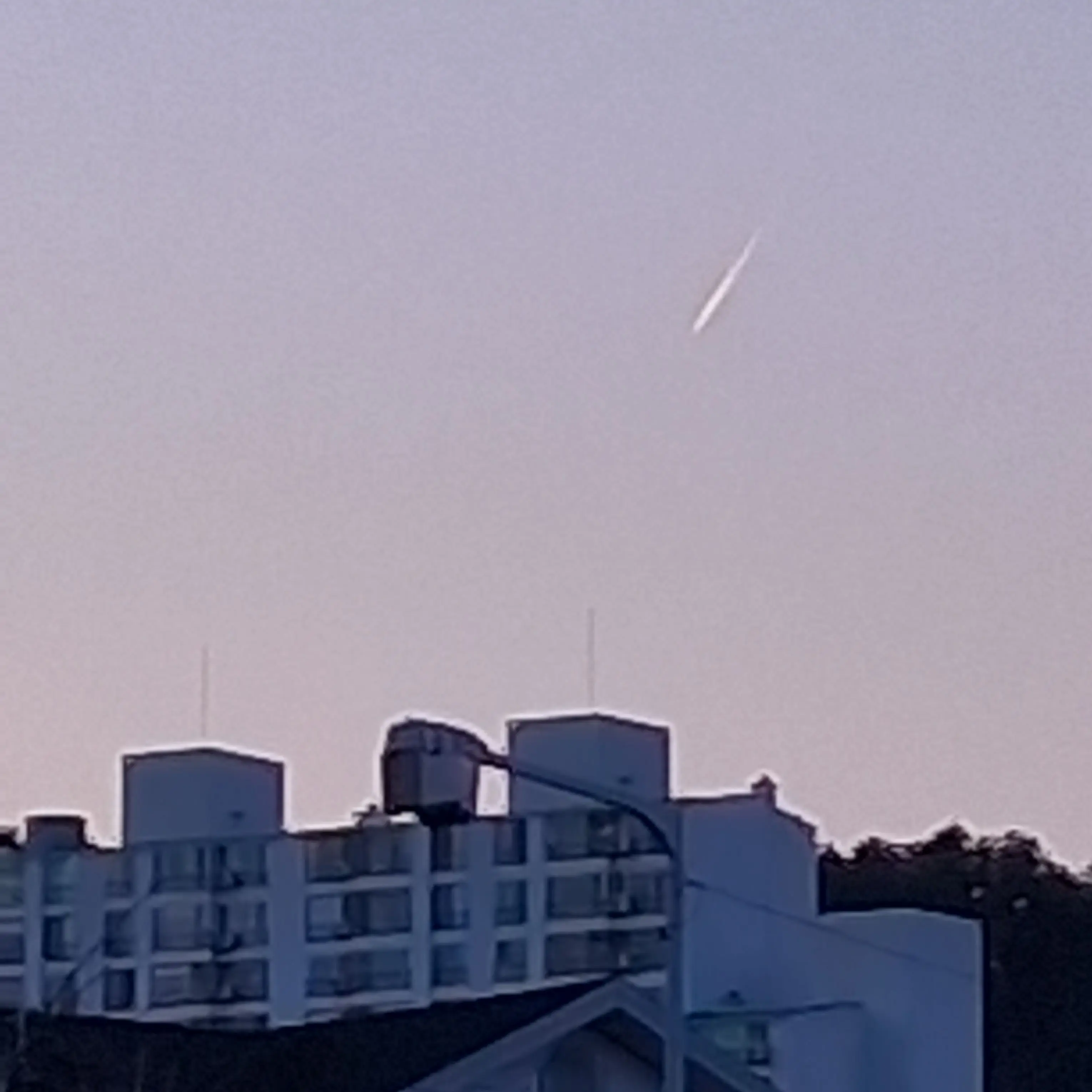 PinkBilby3221의 토깽이네