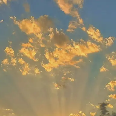 Profile image of 모양몬