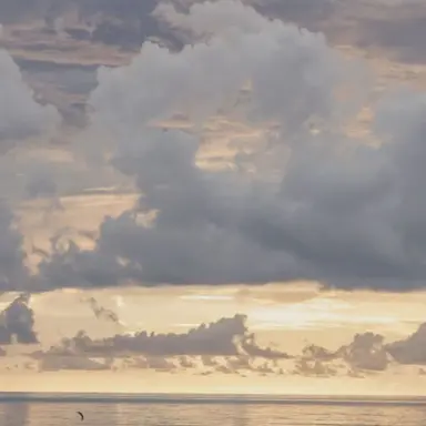 Profile image of 모찌엘