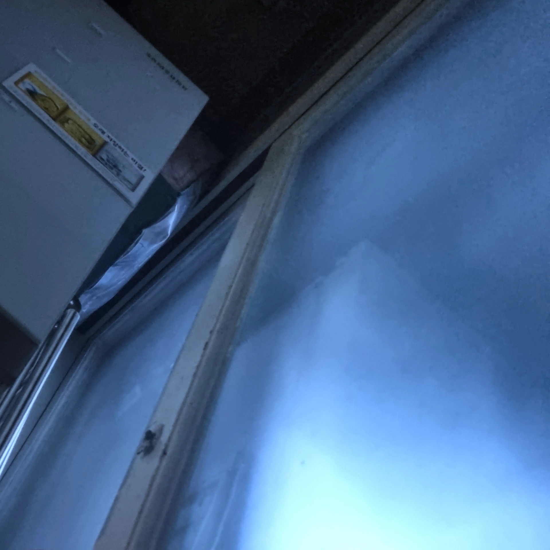 페스텍스