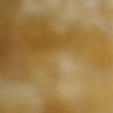Profile image of 하나사토 미노리