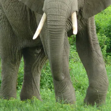 Profile image of 조