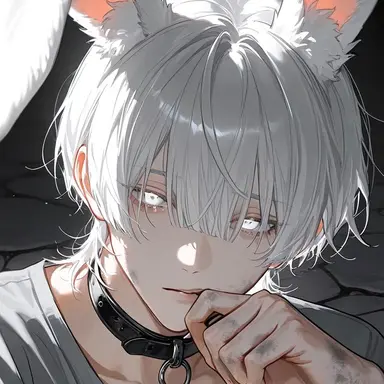 Profile image of メゥ