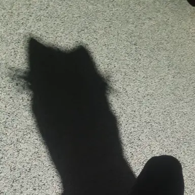 Profile image of 소멸 몰카