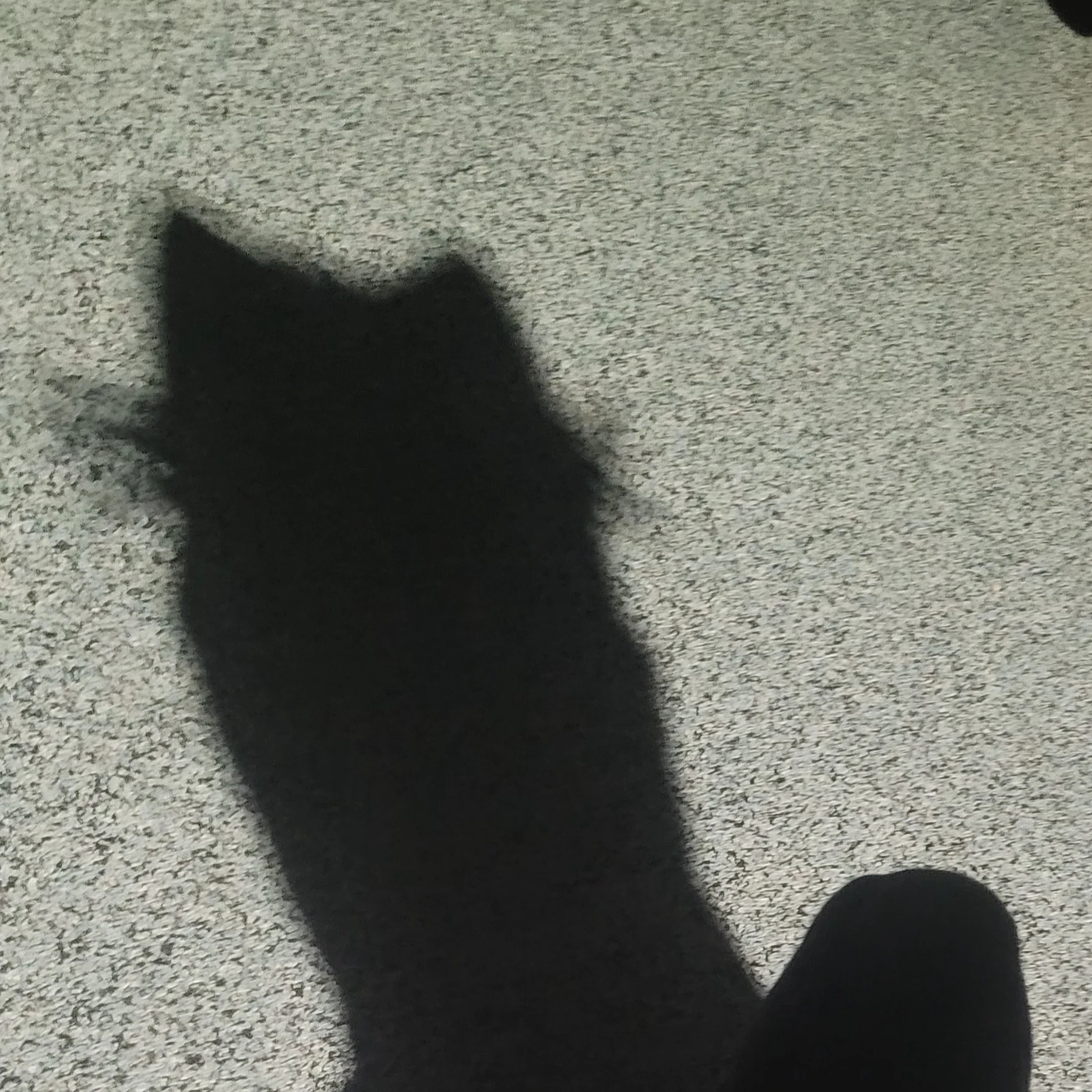 소멸 몰카