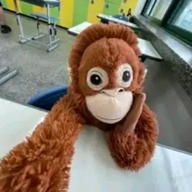 Profile image of 여우