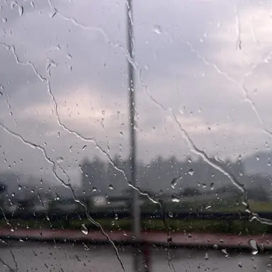 Profile image of 하루토