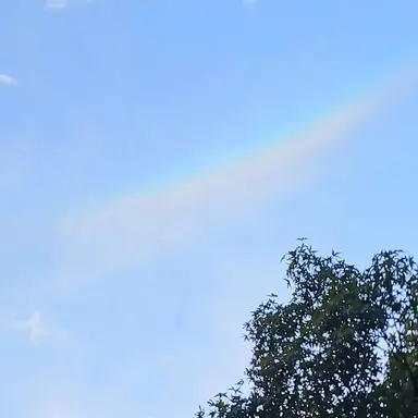 Profile image of 소희