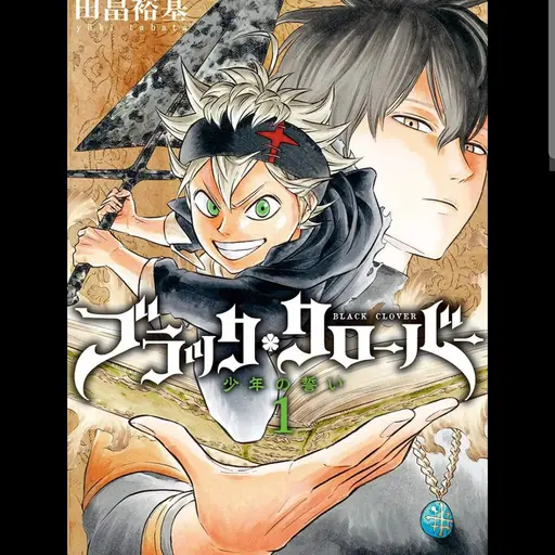 SaltyBerry0397의 블랙클로버