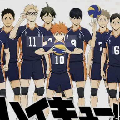 Profile image of ハイキュー