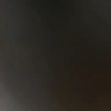 Profile image of 형