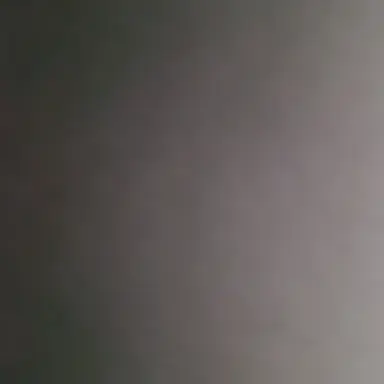 Profile image of 관장님