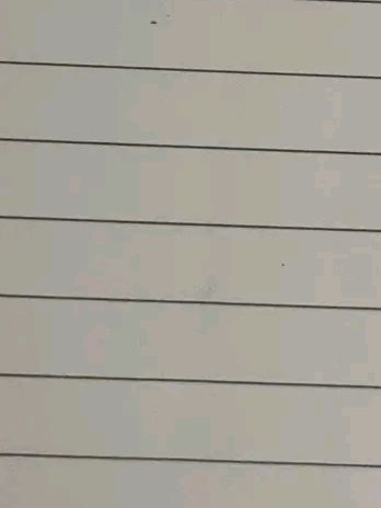 매니저(어사일럼 라이프) 대표 이미지