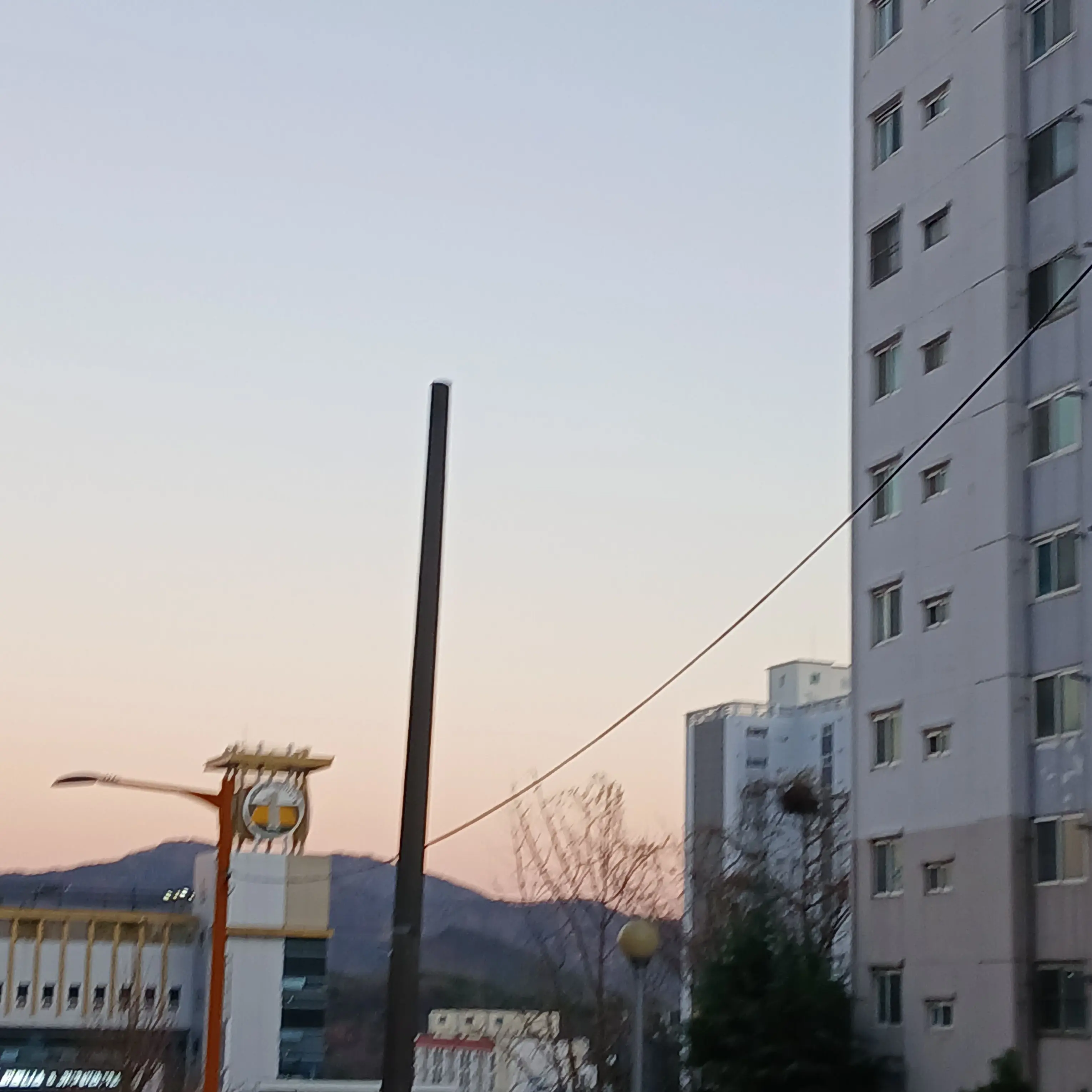 FolksyChime3893의 밤보눈 유저가 공룡