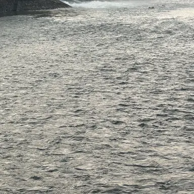 Profile image of 死神