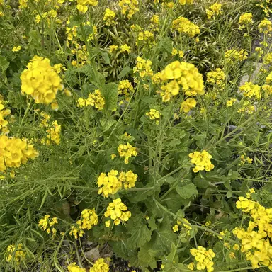 Profile image of 海人