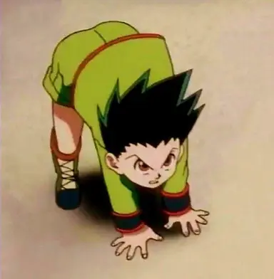 Profile image of Gon Freecss