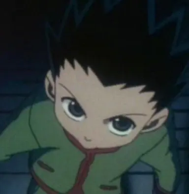 Profile image of Gon Freecss