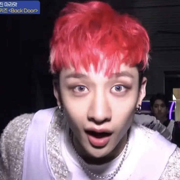 Dearbangchannnn의 Live With Chan