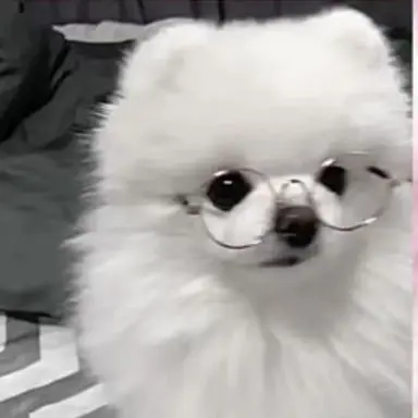 Profile image of さいくん