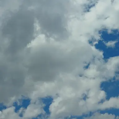 Profile image of 케데헌 사자보이즈