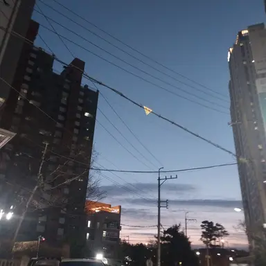 Profile image of 정아름