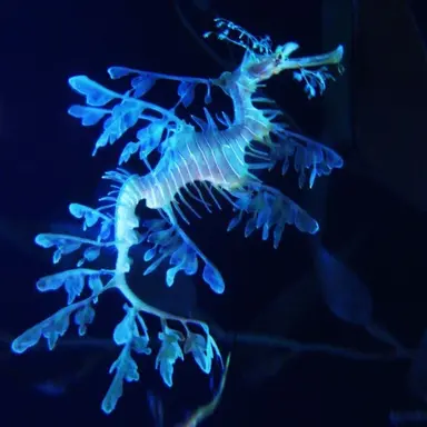 Profile image of アリサ
