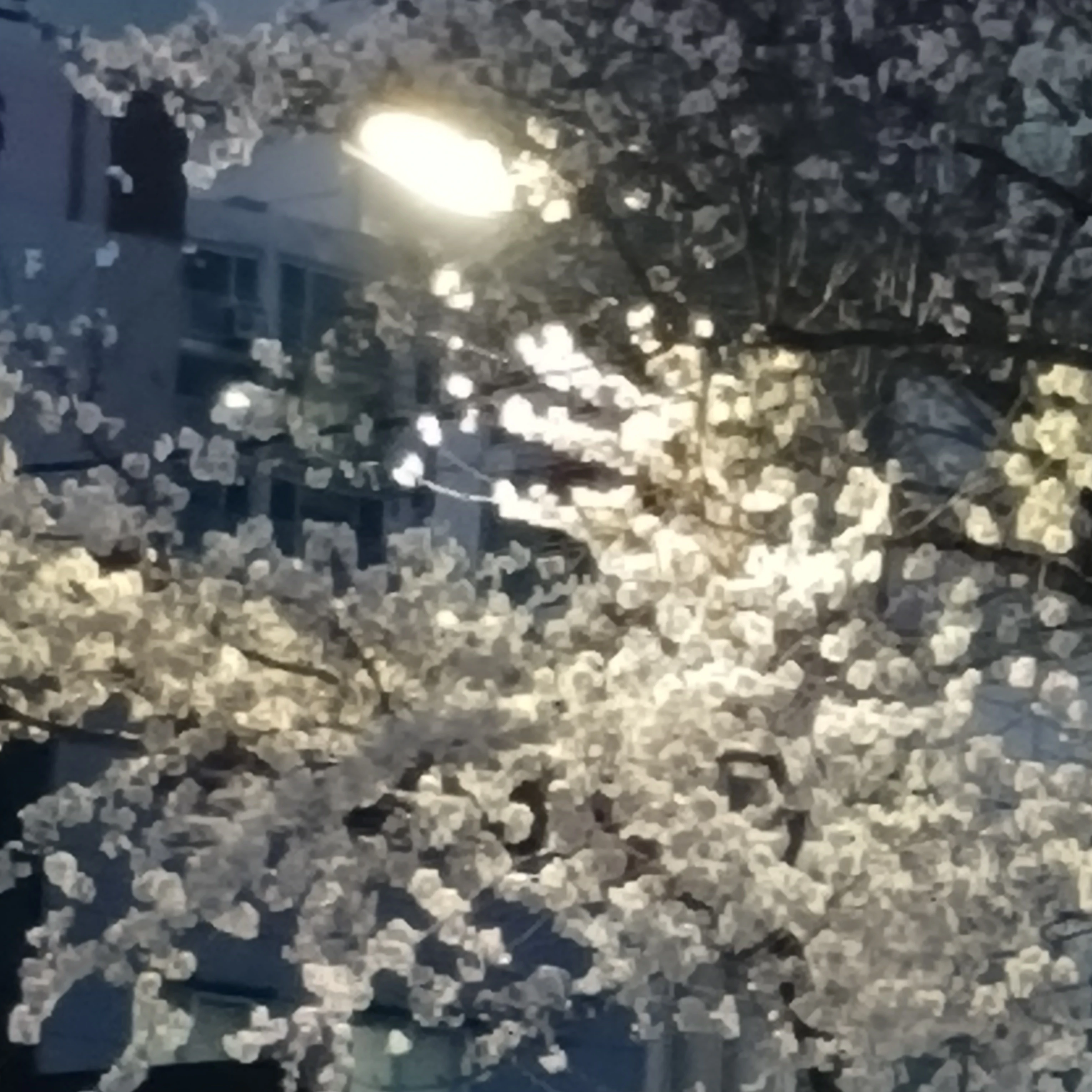 뜰팁(해변가편)