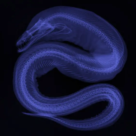 darksea_29의 ｼﾞｪｲﾄﾞ