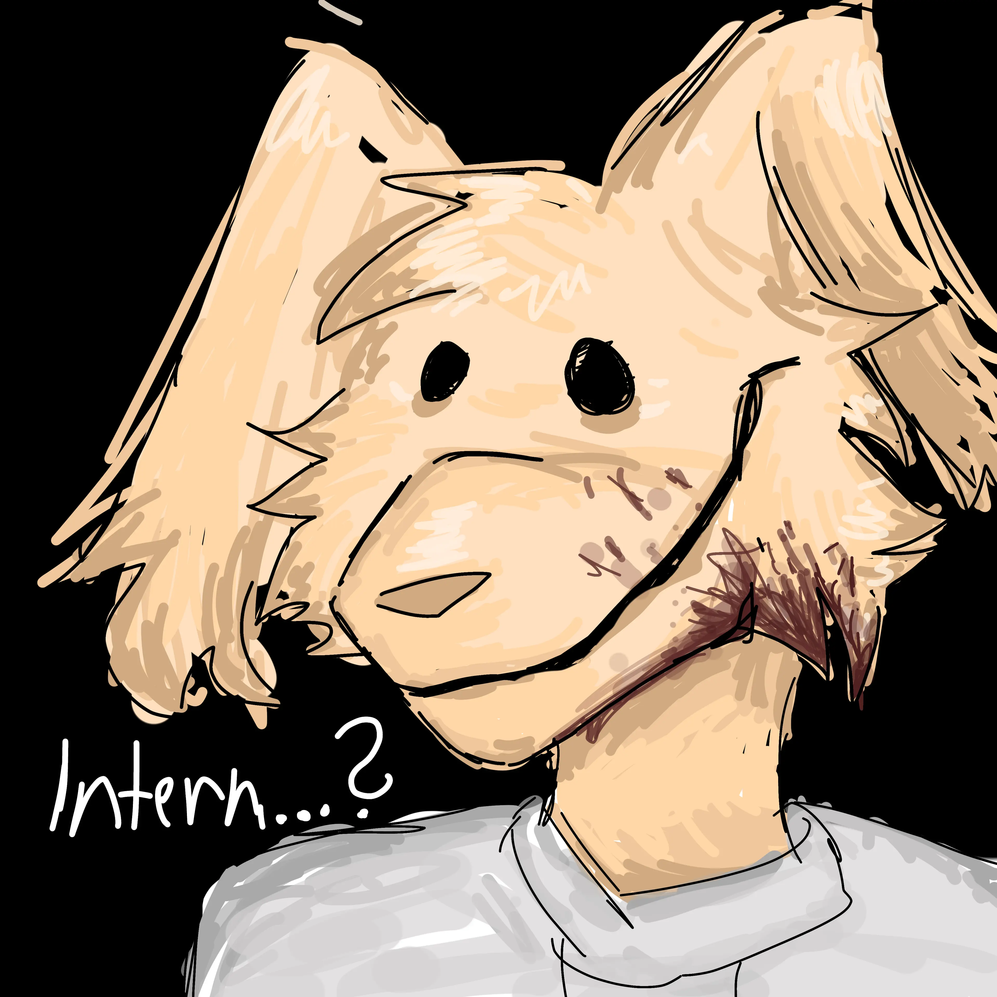 DaOneLightbulbFR의 Intern - Animal Hospital!