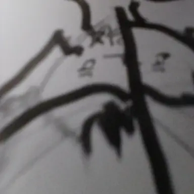 Profile image of 범 준