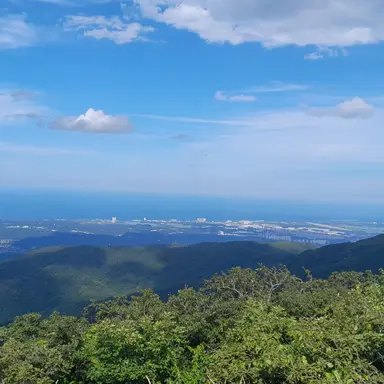 Profile image of 여지안