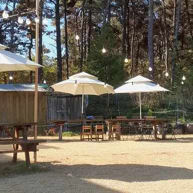 Profile image of 지혜성