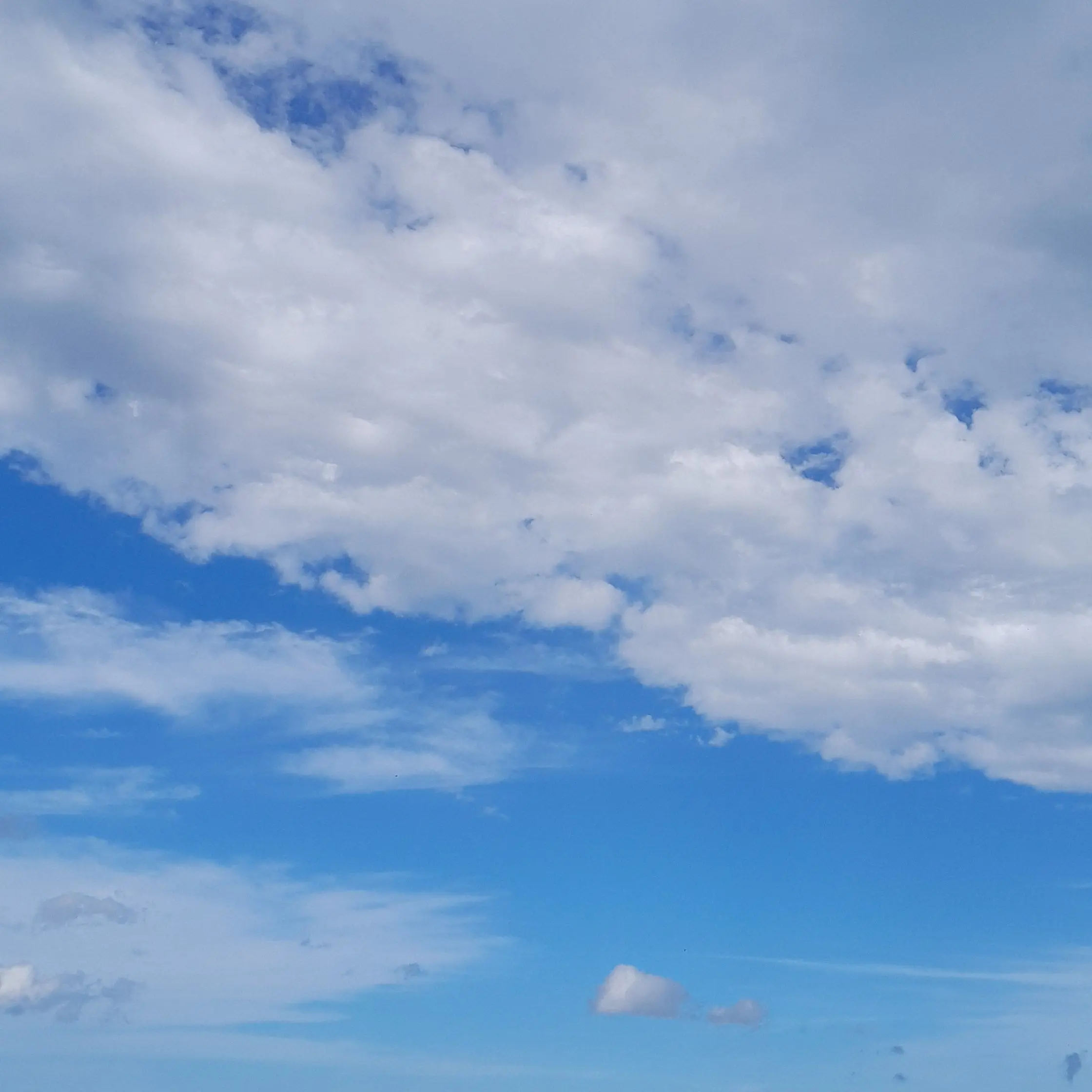 EggyIbis1724의 쇼트트랙 국가대표